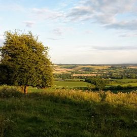Microadventure report – Ran 50 miles along the South Downs Way